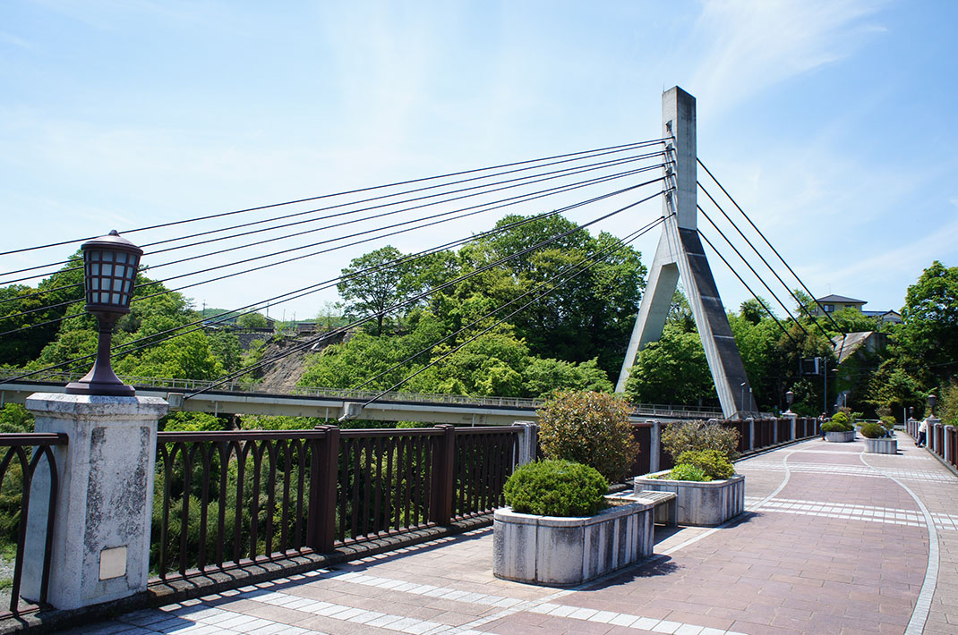 SONY DSC