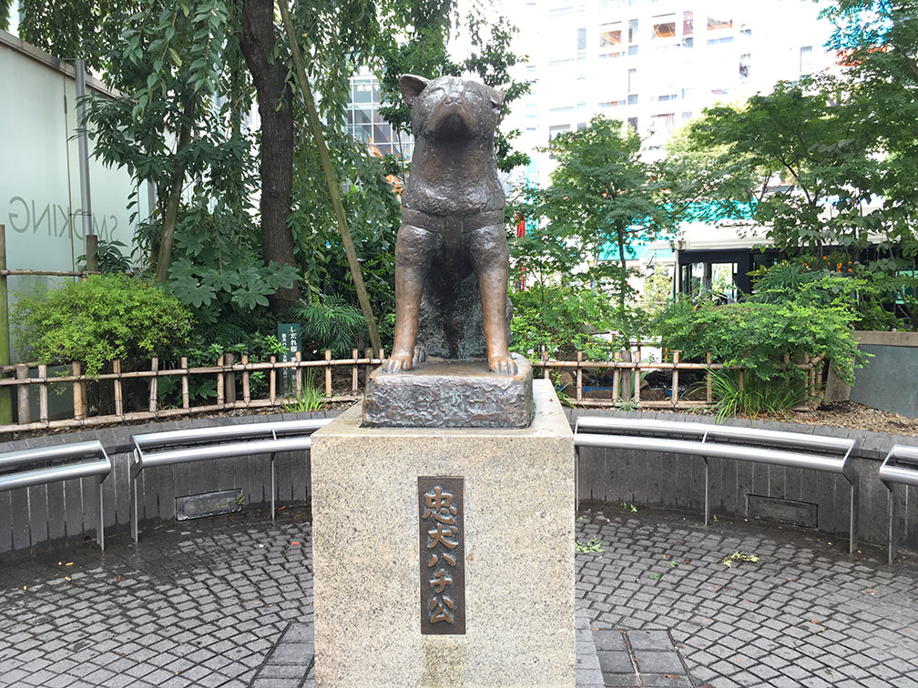 Hachiko